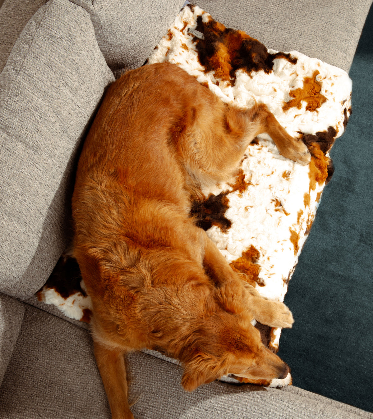 The Furever Blanket (30" x 40")