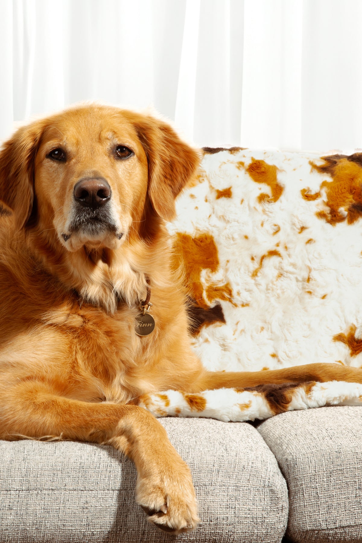 The Furever Blanket (30" x 40")