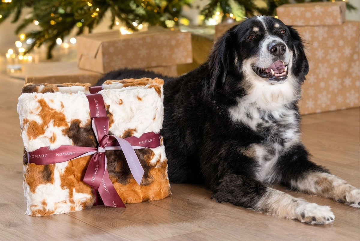 The Furever Blanket (30" x 40")