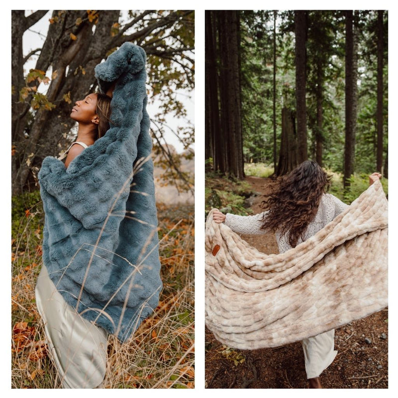 Cloudscape & Cascade